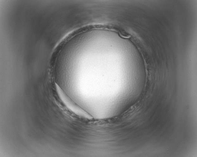 X0000082161208200702021652