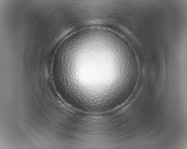 X0000082161209200702021652