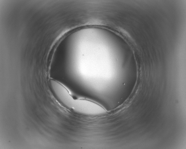 X0000082161212200702021652