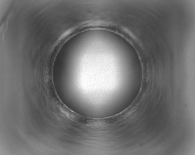 X0000082161213200702021652