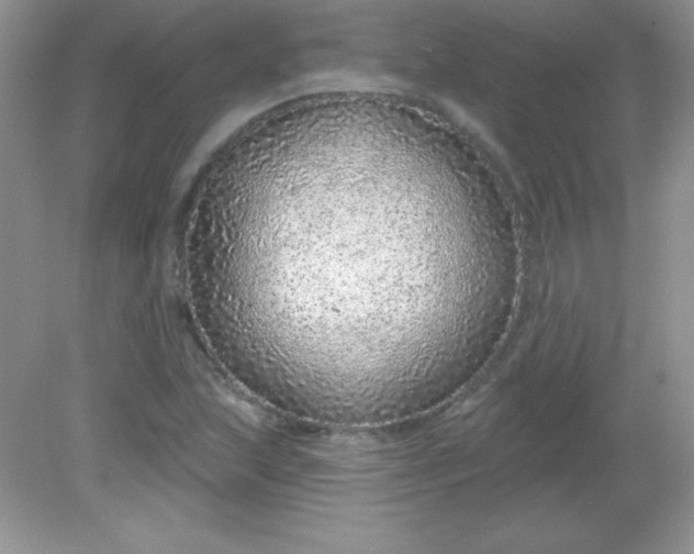 X0000082161215200702021652