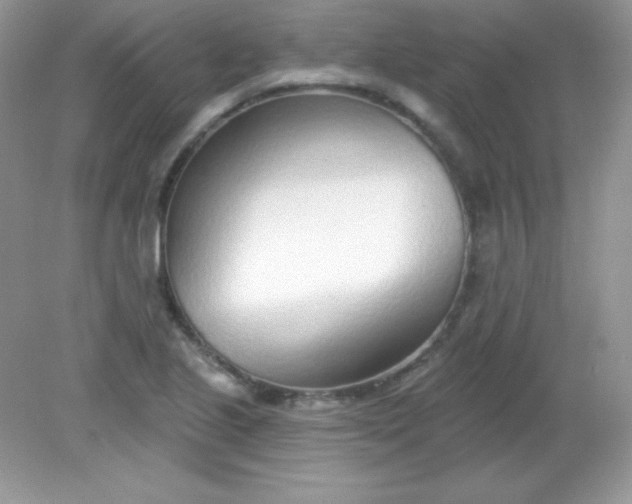 X0000082161221200702021652