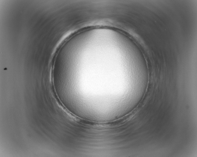 X0000082161224200702021652