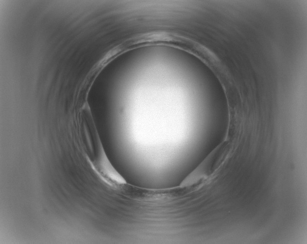 X0000082161225200702021652