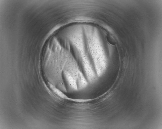 X0000082161229200702021652