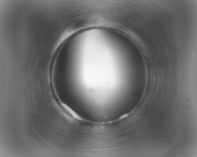 X0000082161230200702021652