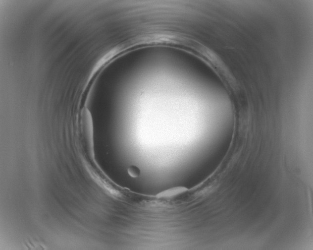 X0000082161234200702021652