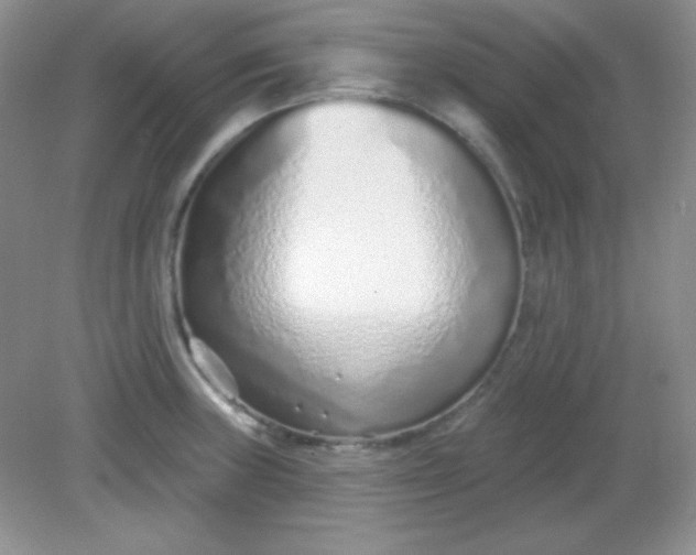 X0000082161235200702021652