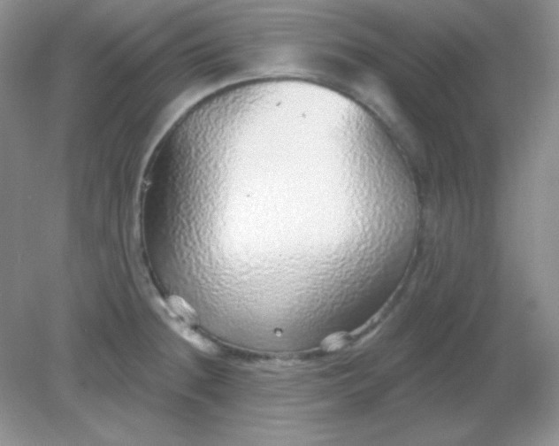 X0000082161236200702021652