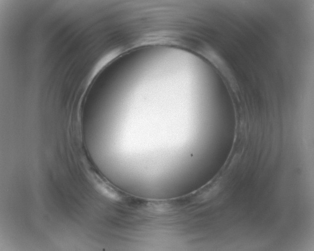 X0000082161242200702021652