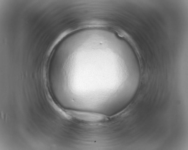 X0000082161243200702021652