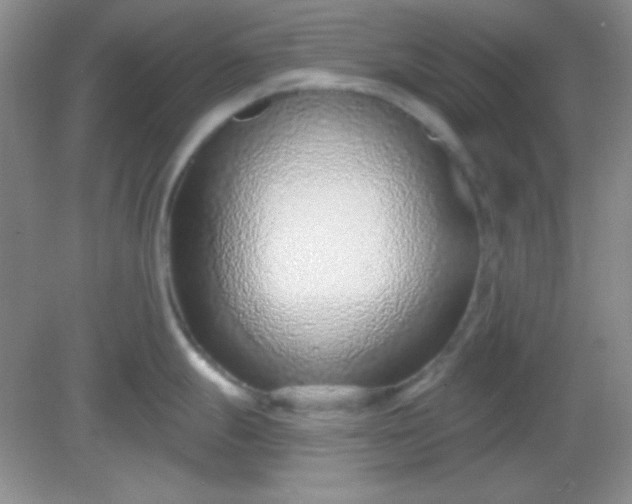 X0000082161247200702021653