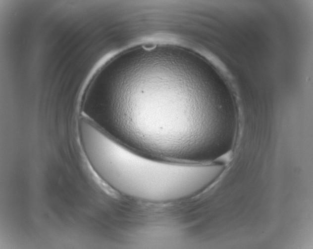 X0000082161248200702021653