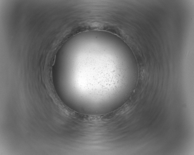 X0000082161249200702021652