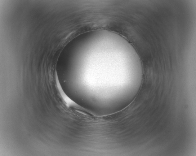 X0000082161250200702021652