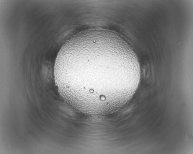 X0000082161251200702021652