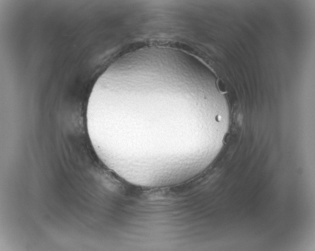 X0000082161252200702021652