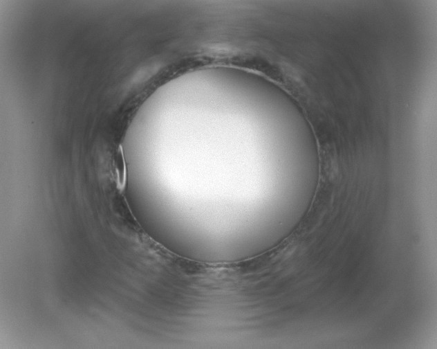 X0000082161253200702021652