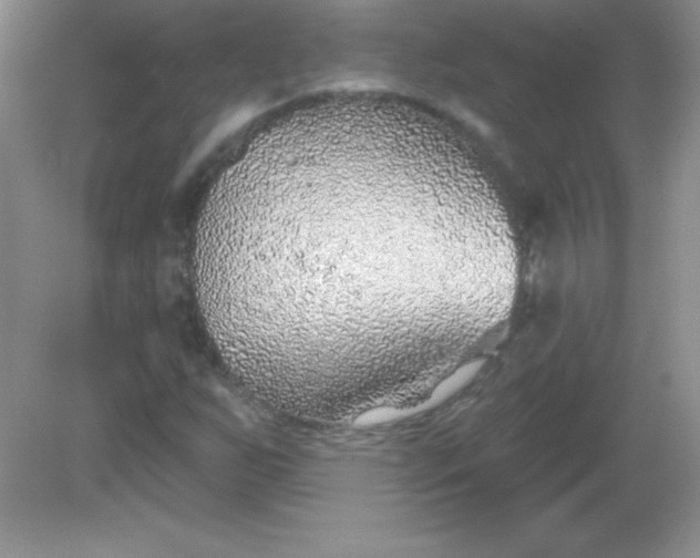 X0000082161255200702021652