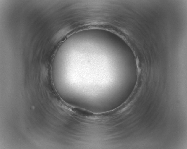 X0000082161257200702021652