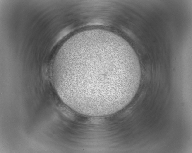 X0000082161258200702021652