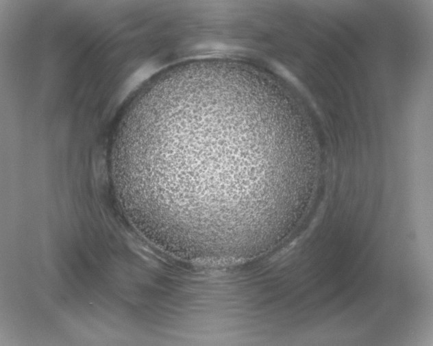 X0000082161259200702021652