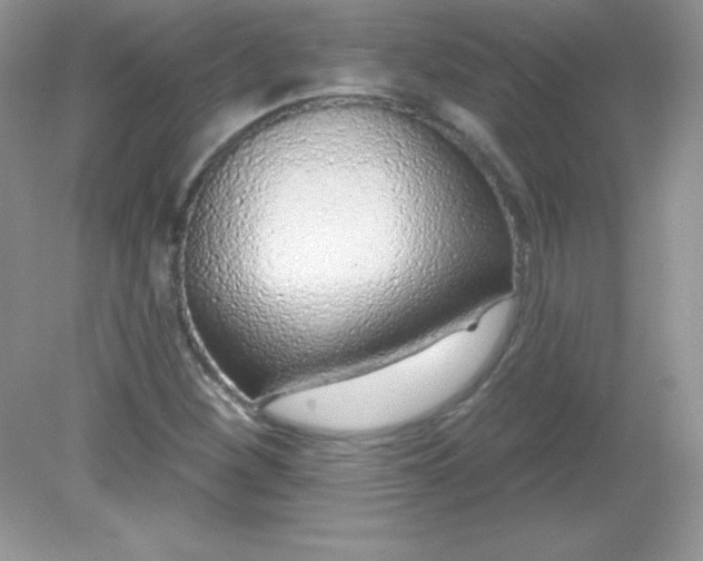 X0000082161260200702021652