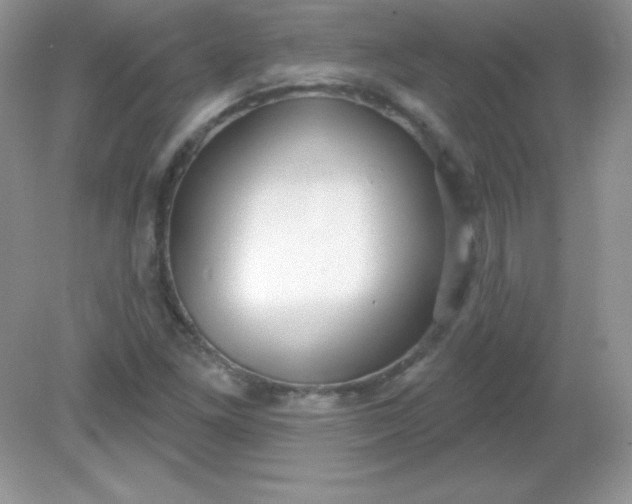 X0000082161261200702021652