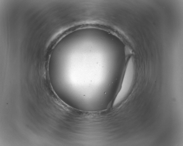 X0000082161262200702021652