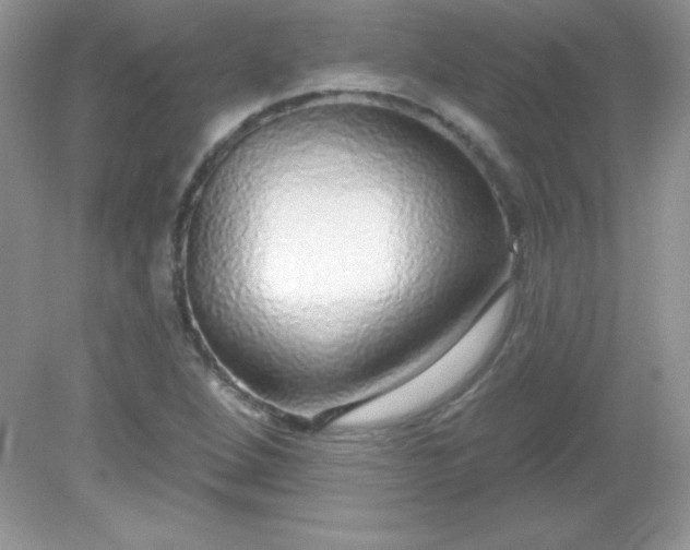 X0000082161264200702021651