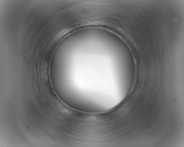X0000082161265200702021651