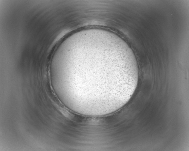 X0000082161266200702021651