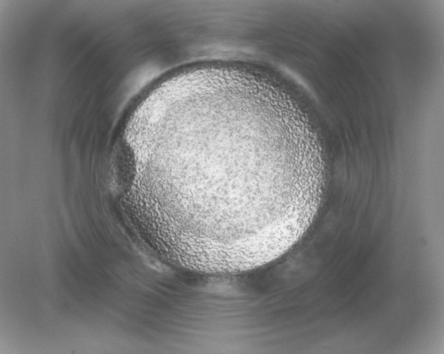X0000082161267200702021651
