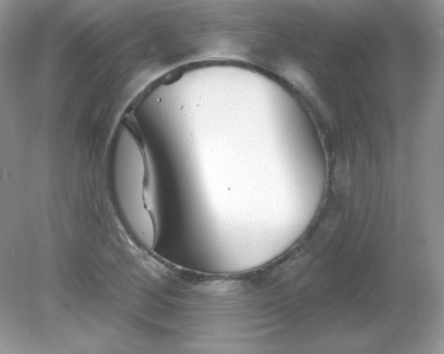 X0000082161268200702021651