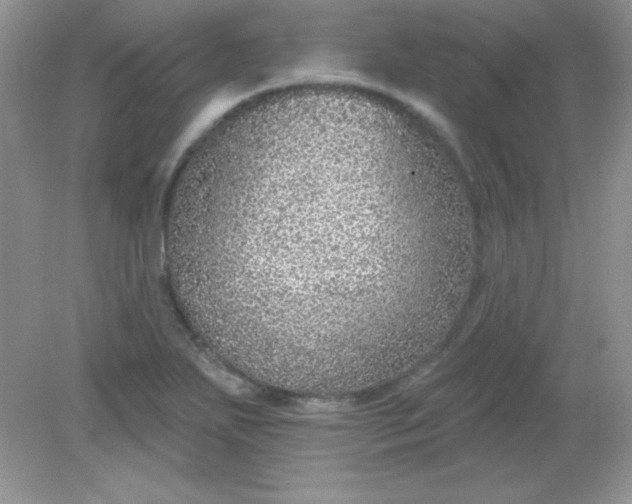 X0000082161271200702021651