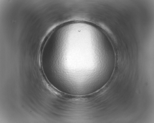 X0000082161272200702021651
