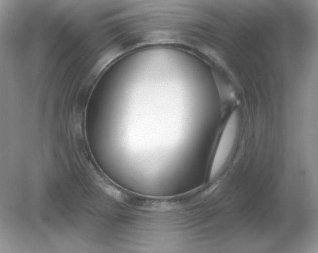 X0000082161273200702021651