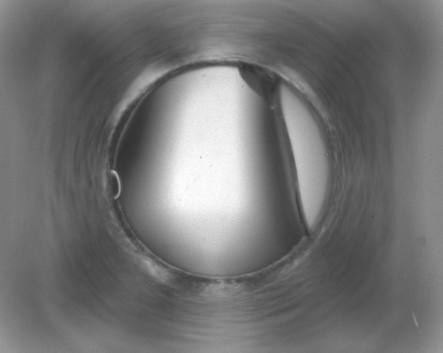 X0000082161277200702021651