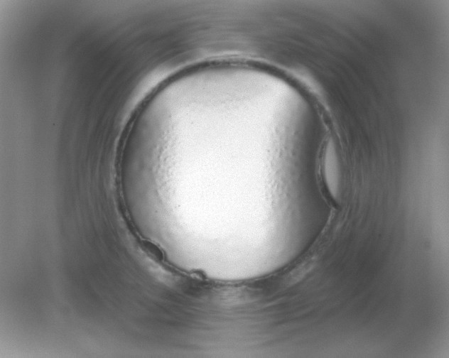 X0000082161279200702021651