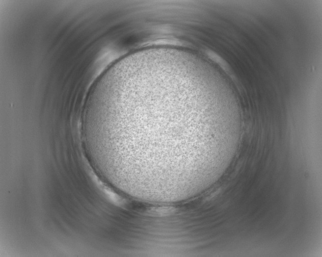 X0000082161282200702021651