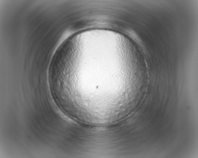 X0000082161283200702021651