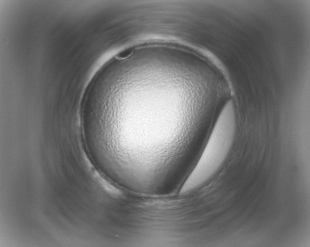 X0000082161287200702021651