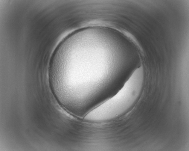 X0000082161288200702021651