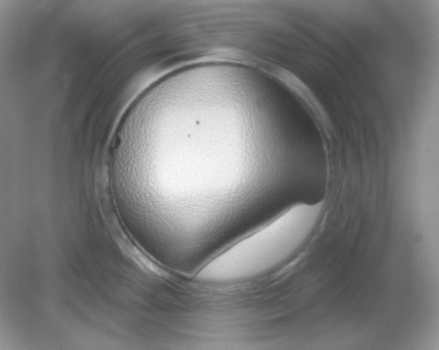 X0000082161292200702021651