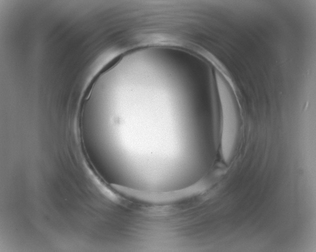 X0000082161293200702021651