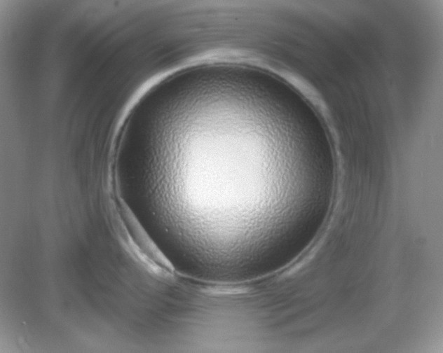 X0000082161296200702021651