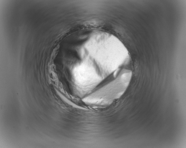 X0000082161297200702021650