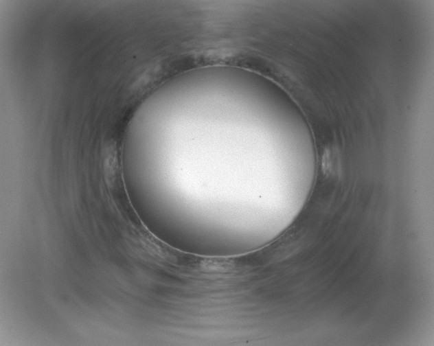 X0000082161299200702021650
