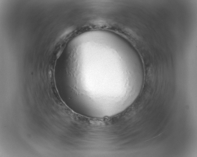 X0000082161302200702021650