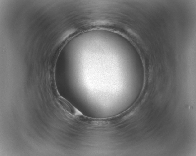 X0000082161305200702021650